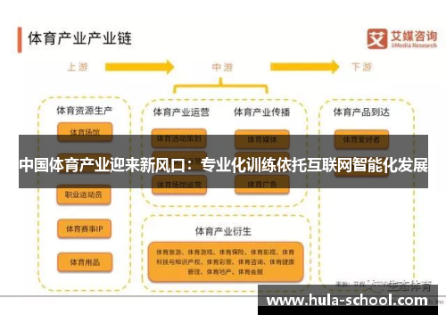 中国体育产业迎来新风口：专业化训练依托互联网智能化发展